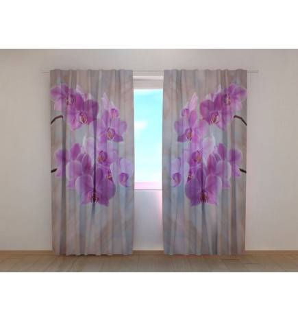 1,00 € Custom Curtain - Pink Orchids