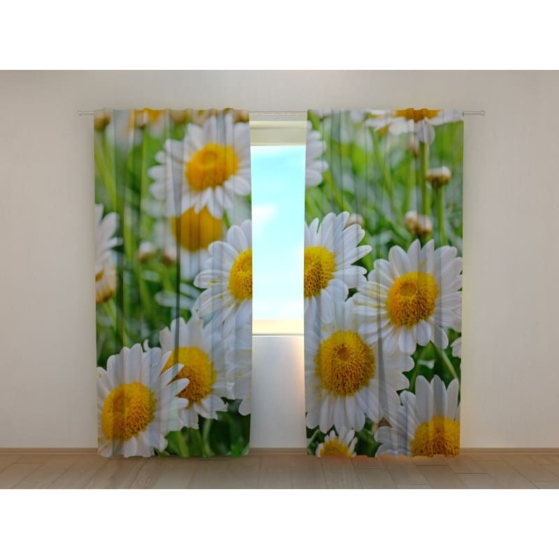 1,00 € Gordijn op maat - Kamillebloemen 1,00 € Gordijn op maat - Kamillebloemen