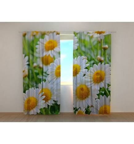 Personalized Curtain - Chamomile Flowers