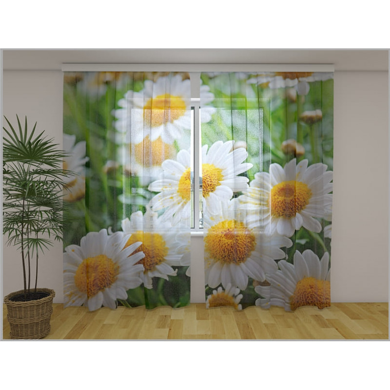 1,00 € Personalized Curtain - Chamomile Flowers