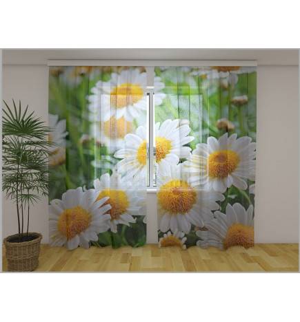 Pielāgots aizkars - kumelīšu ziedi