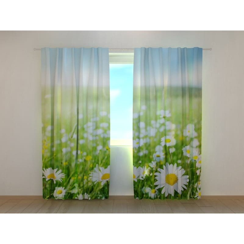 1,00 € Personalized tent - Chamomile lawn 1,00 € Personalized tent - Chamomile lawn