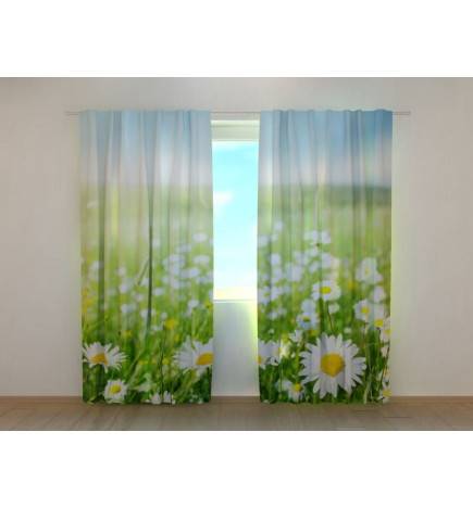 1,00 € Personalized tent - Chamomile lawn