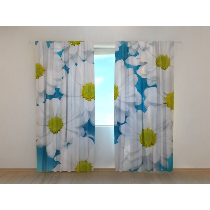 1,00 €Cortina personalizada - Flores de camomila com fundo azul