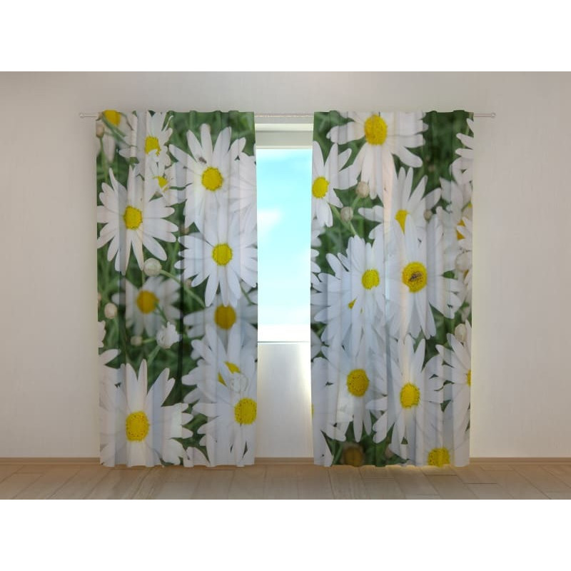 1,00 €Rideau Personnalisé - Fleurs de Camomille - Fond Vert