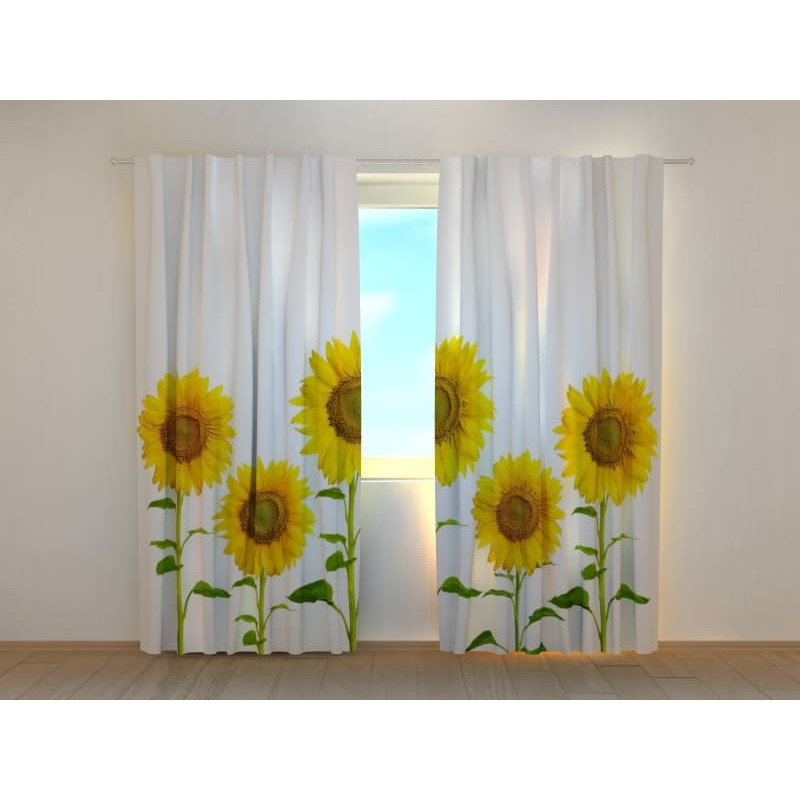 1,00 € Šotor po meri - Z veliko sončnicami