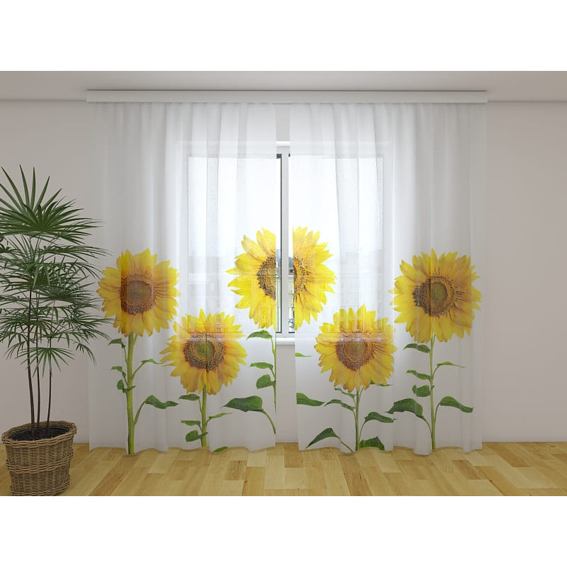 1,00 € Gepersonaliseerde luifel - Met veel zonnebloemen