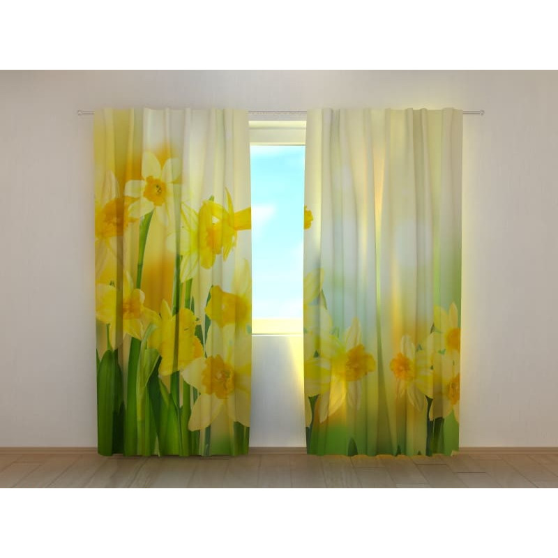 1,00 € Custom tent - With daffodils in the sun 1,00 € Custom tent - With daffodils in the sun