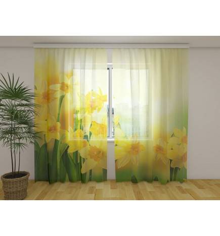 Personalisierte Markise – Mit Narzissen in der Sonne