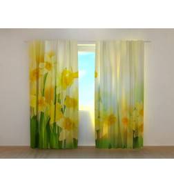 1,00 € Pielāgota telts - ar narcisēm saulē