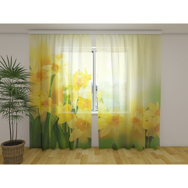 1,00 € Custom tent - With daffodils in the sun