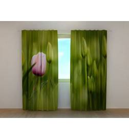 1,00 € Custom curtain - Featuring a pink tulip
