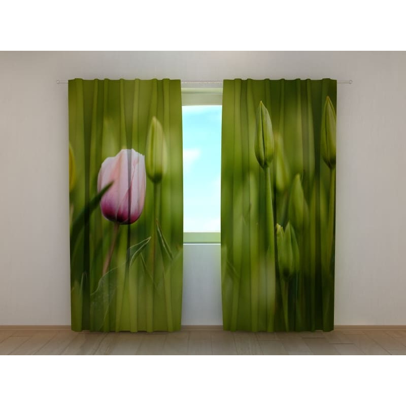 1,00 €Rideau personnalisé - Comportant une tulipe rose