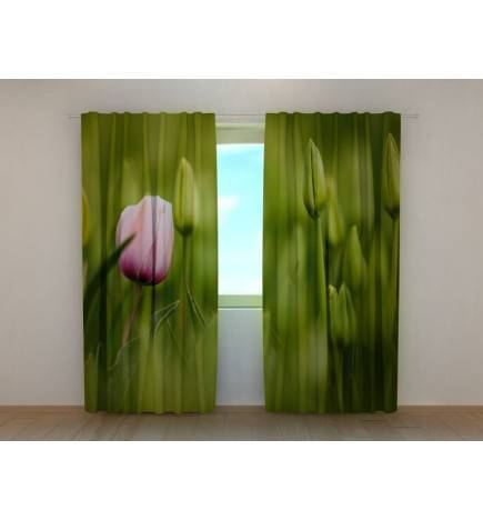 1,00 € Custom curtain - Featuring a pink tulip