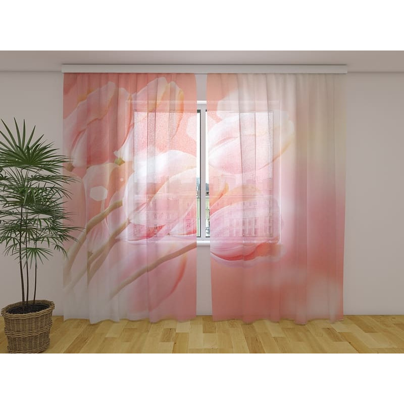 1,00 € Cortina personalizada - Con tulipanes de fondo