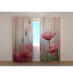 1,00 €Tente personnalisée - Avec des tulipes dans la brume