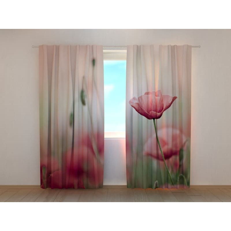 1,00 € Tent op maat - Met tulpen in de mist