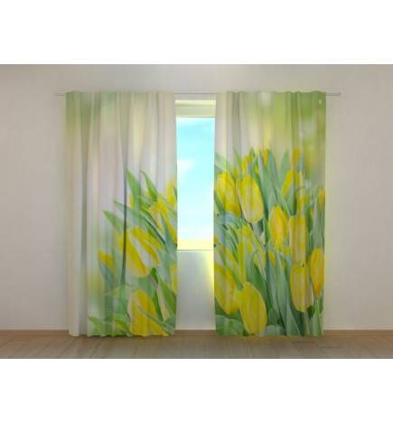 1,00 € Custom curtain - With yellow tulips and green leaves
