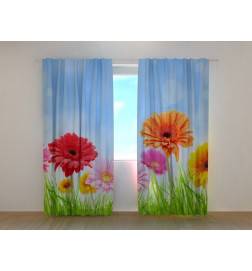 1,00 €Tente personnalisée - pelouse fleurie - Gerbera