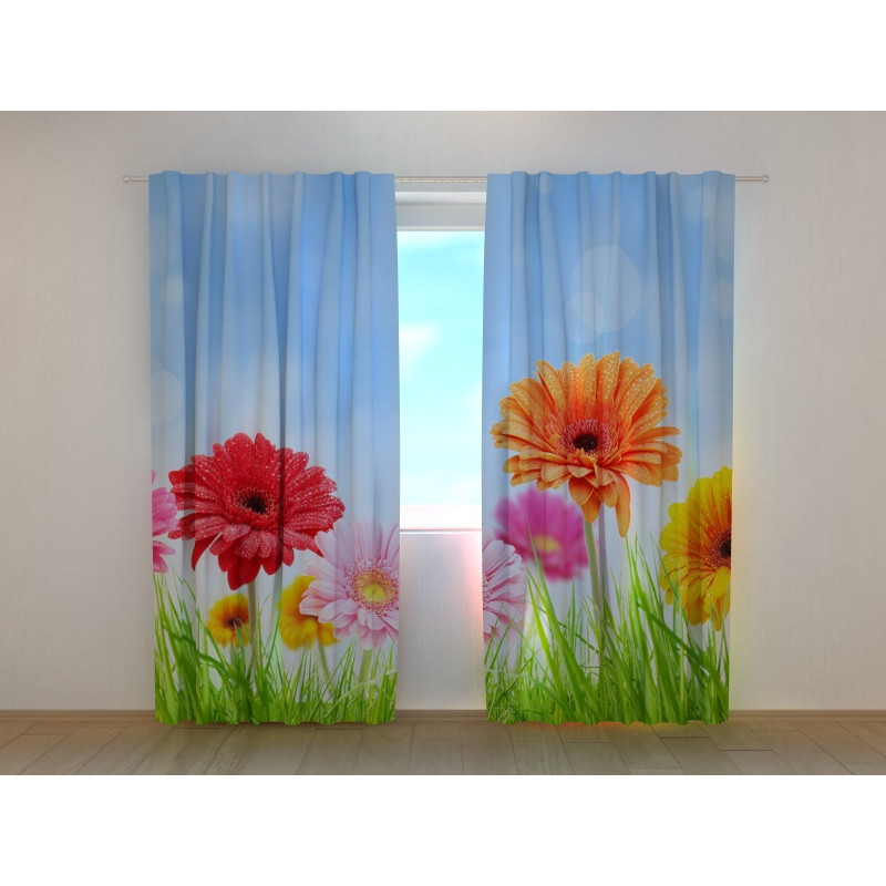 1,00 € Posebni šotor - Cvetli travnik - Gerbera