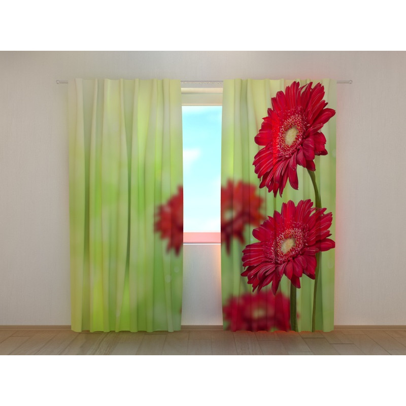 1,00 € Maßgeschneiderter Vorhang – mit roten Gerbera-Blüten