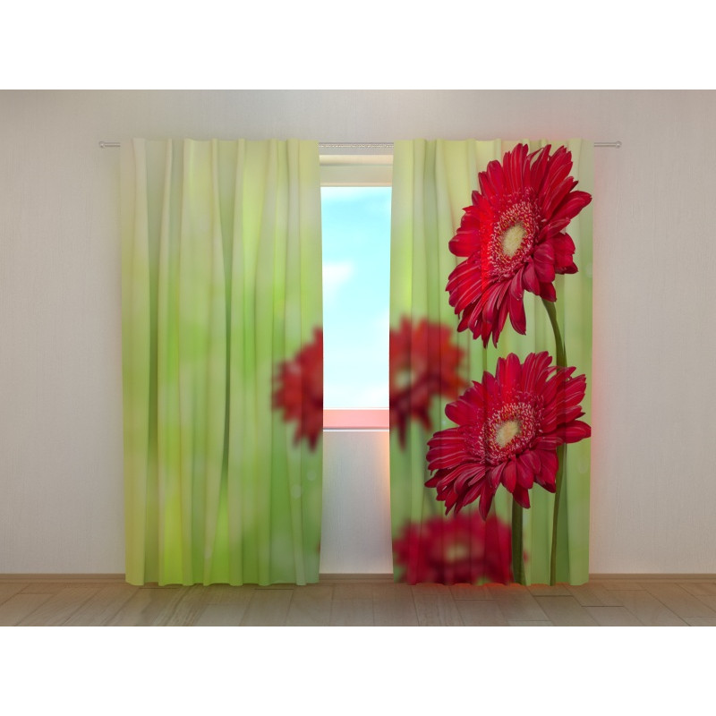 1,00 €Tenda personalizzata - Con i fiori di gerbera rossi