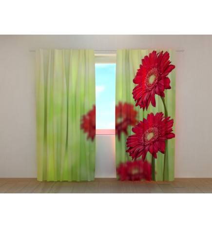 1,00 € Maßgeschneiderter Vorhang – mit roten Gerbera-Blüten