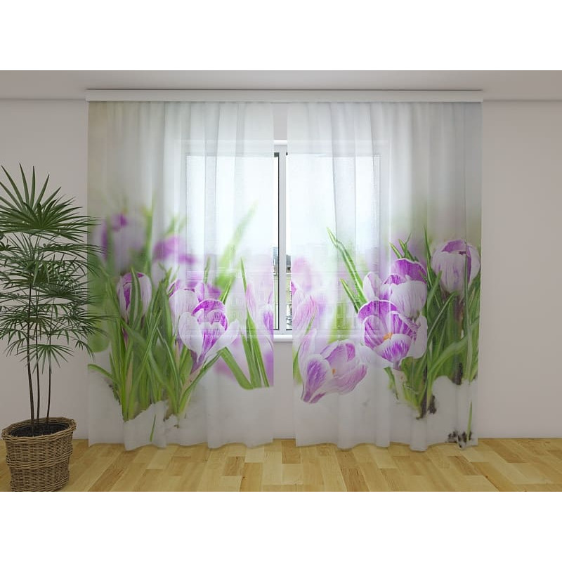 1,00 € Personalized tent - With crocus flowers in winter