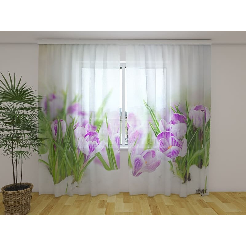 1,00 € Yksilöllinen teltta - krookuskukkien kanssa talvella