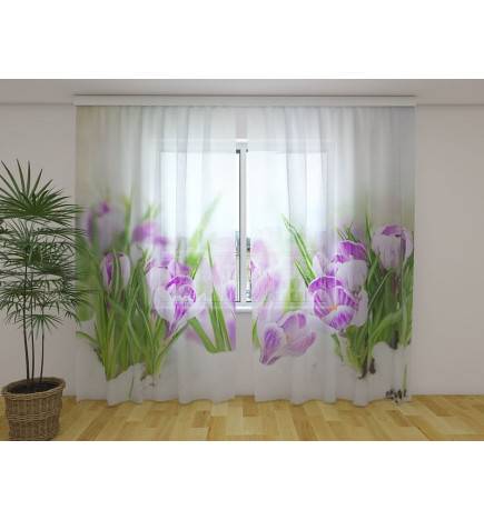 Personalized tent - With crocus flowers in winter