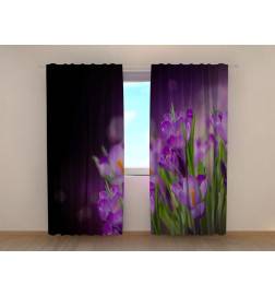 Personalized Curtain - With crocus flowers at night