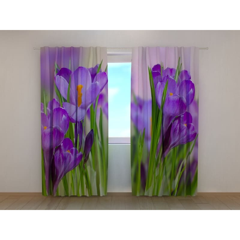 1,00 €Tente personnalisée - Fleurs de crocus dans la pelouse