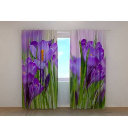 1,00 €Tente personnalisée - Fleurs de crocus dans la pelouse