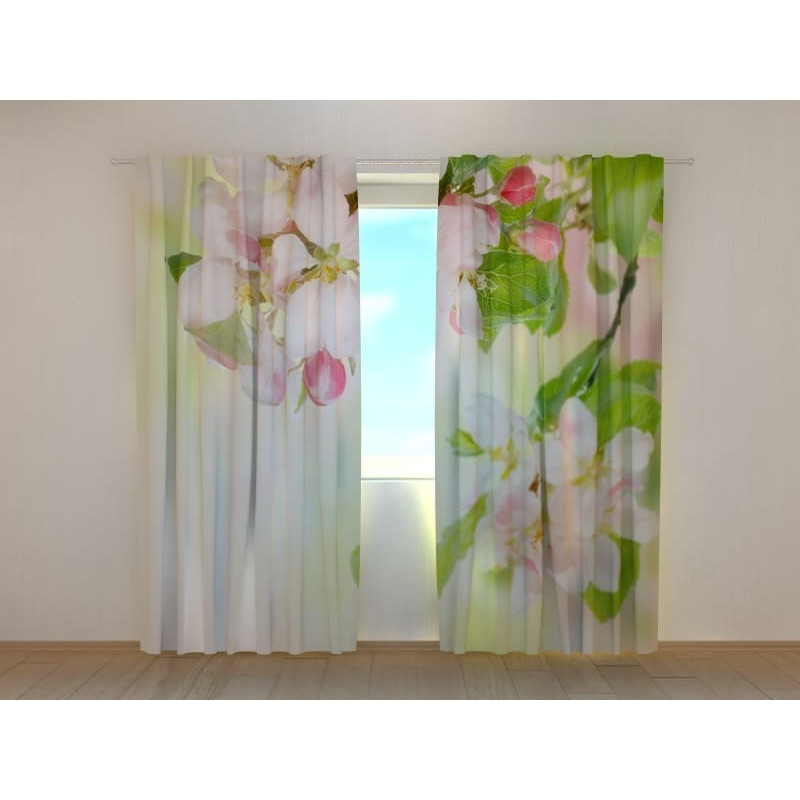 1,00 € Personalized Curtain - With apple blossoms in spring