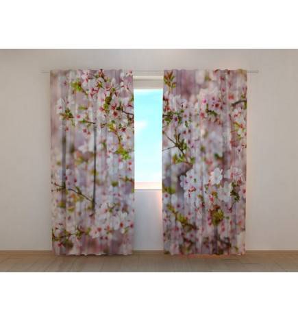 1,00 € Custom curtain - with cherry blossoms in spring