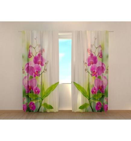 1,00 € Personalisierter Vorhang – Sommerblätter und Blumen