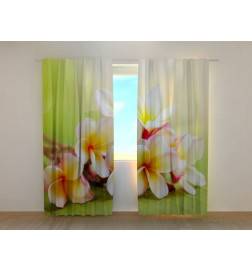 1,00 €Tenda personalizada - Prado com flores primaveris