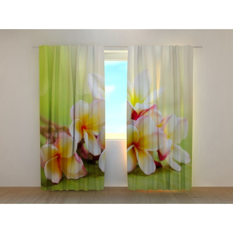 1,00 €Tenda personalizada - Prado com flores primaveris