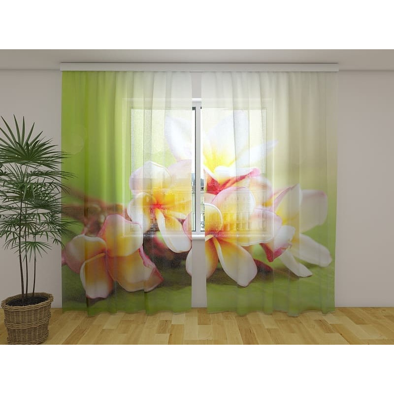 1,00 €Tenda personalizada - Prado com flores primaveris