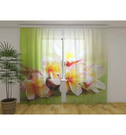 Tenda personalizada - Prado com flores primaveris