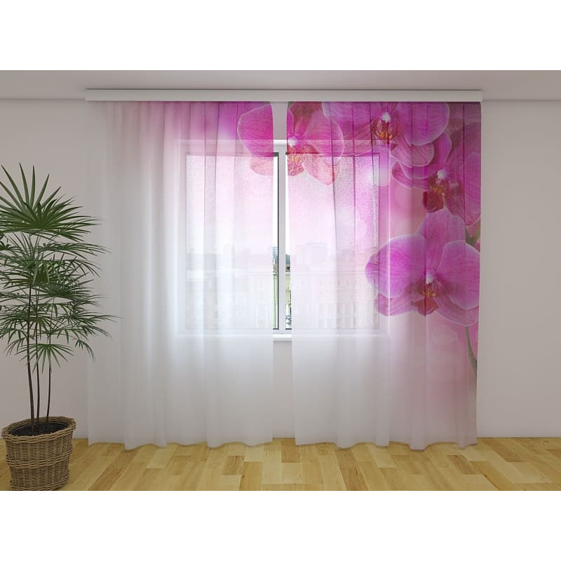 1,00 € Cortina Personalizada - Con delicadas orquídeas rosas