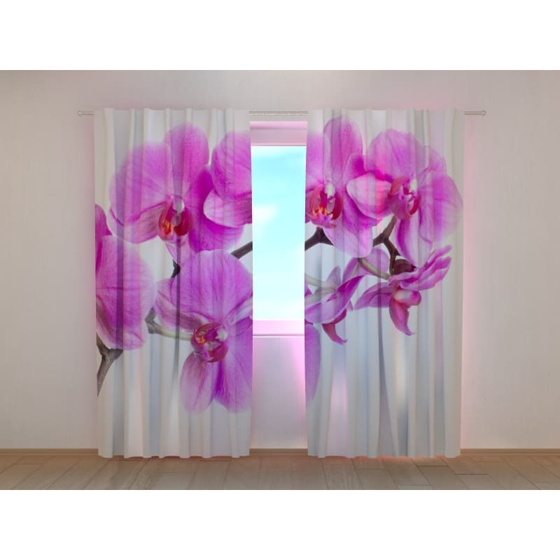 1,00 € Individualizuotos užuolaidos – elegantiškos – su violetinėmis orchidėjomis