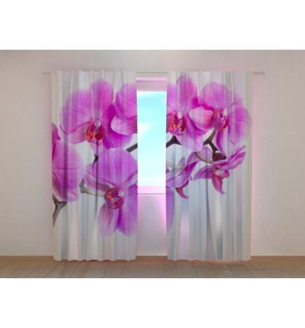 Individualizuotos užuolaidos – elegantiškos – su violetinėmis orchidėjomis