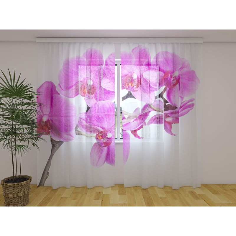 1,00 € Tilausverho - Tyylikäs - Purppuranpunaisilla orkideoilla