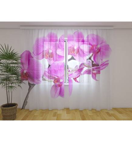 Personalized Curtain - Elegant - With purple orchids