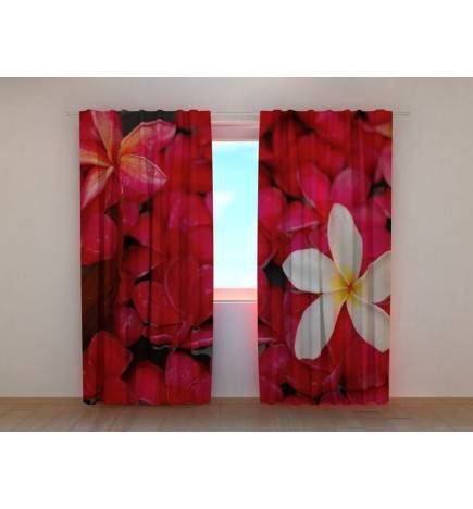 1,00 € Personalized Curtain - White flower and many red flowers