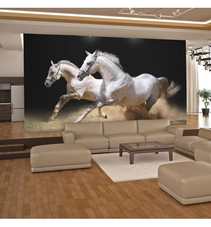73,00 € Foto tapete - Galloping horses on the sand