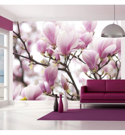 Fotomural - Magnolia bloosom