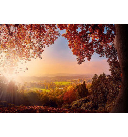 Carta da parati - Autumn delight - sunny landscape with countryside surrounded by trees and fields