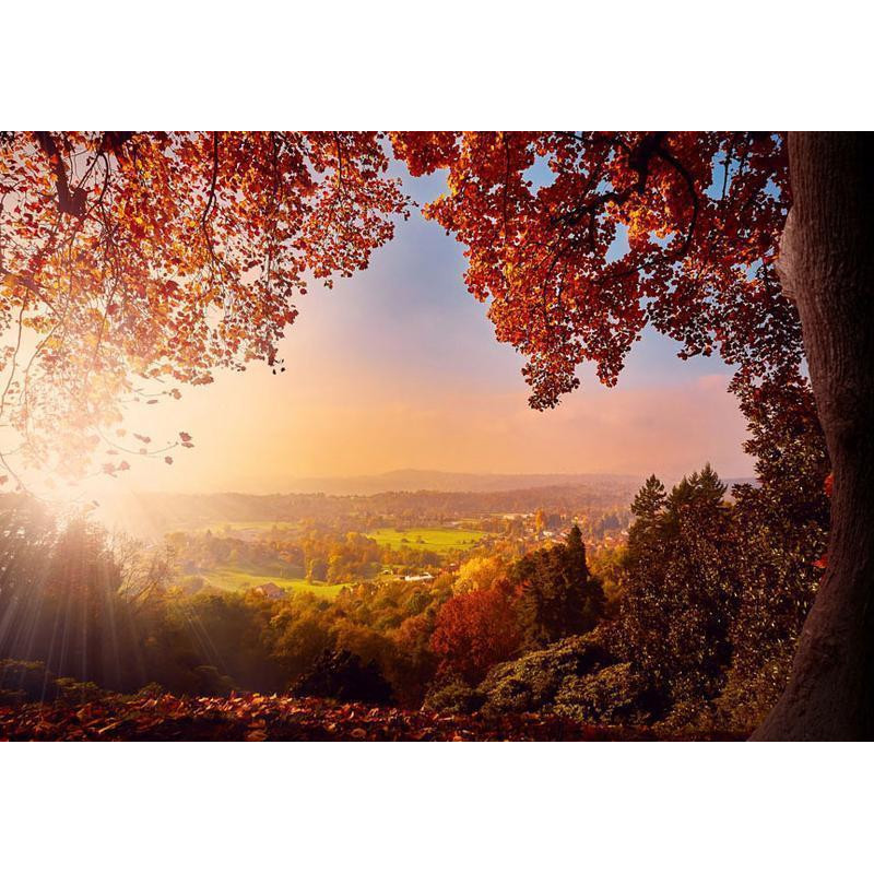 34,00 € Fotobehang - Autumn delight - sunny landscape with countryside surrounded by trees and fields